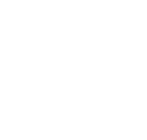 Seguros Rieju