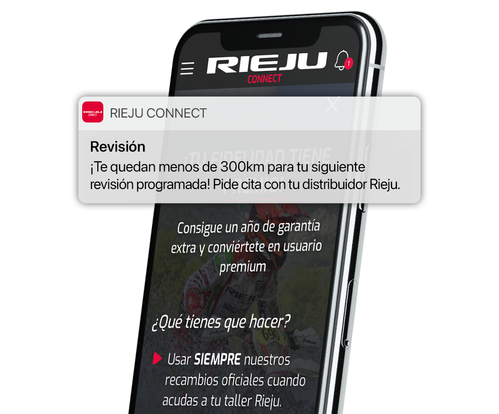 Rieju Connect - Ofertas